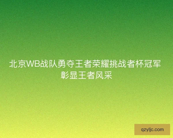 北京WB战队勇夺王者荣耀挑战者杯冠军 彰显王者风采